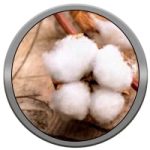 Fibras-Naturales-Algodon